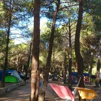 paduella-calvi-w06j0