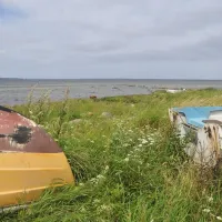 oro-camping-og-hytteby-oro-d9voi