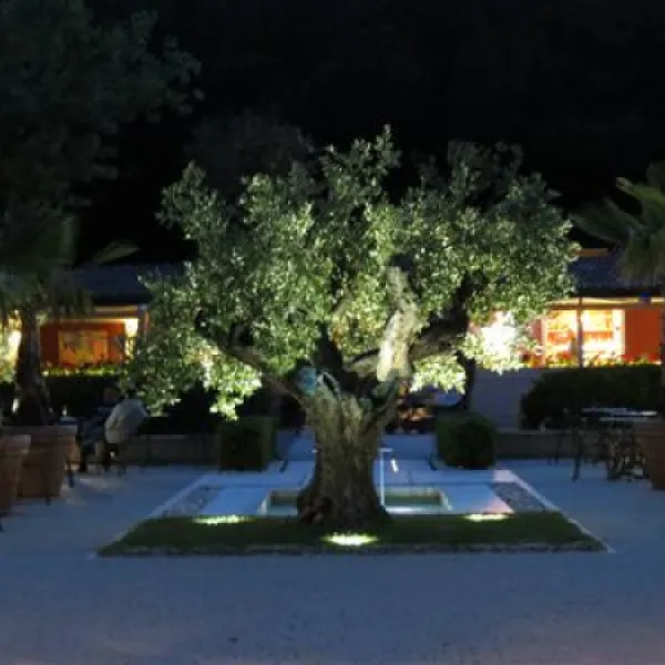 molino-a-fuoco-glamping-vada-9klzf