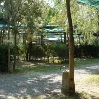 molino-a-fuoco-glamping-vada-bqhdj