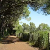 molino-a-fuoco-glamping-vada-qjo8m