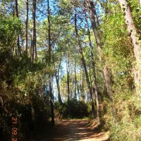 molino-a-fuoco-glamping-vada-xcs4b