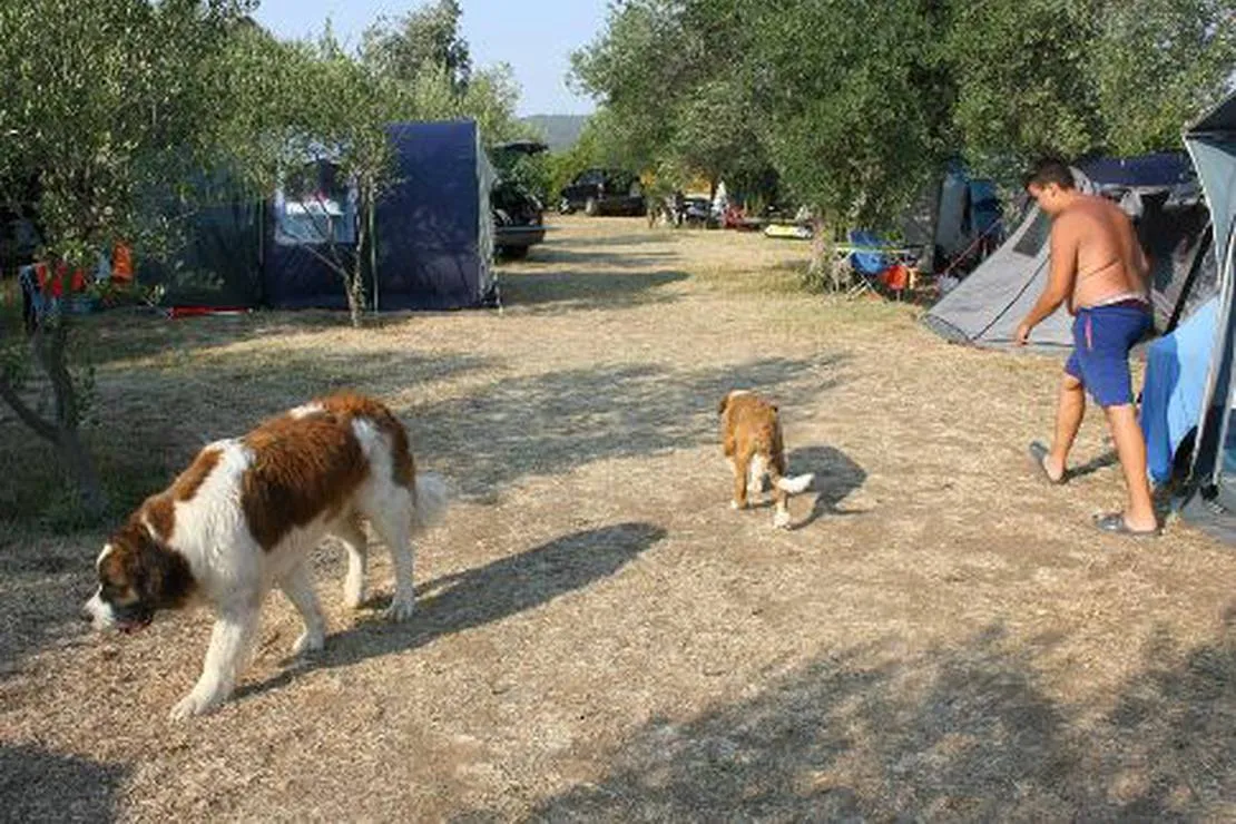 autocamp-kero-bibinje-fmtc6