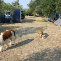 Autocamp Kero
