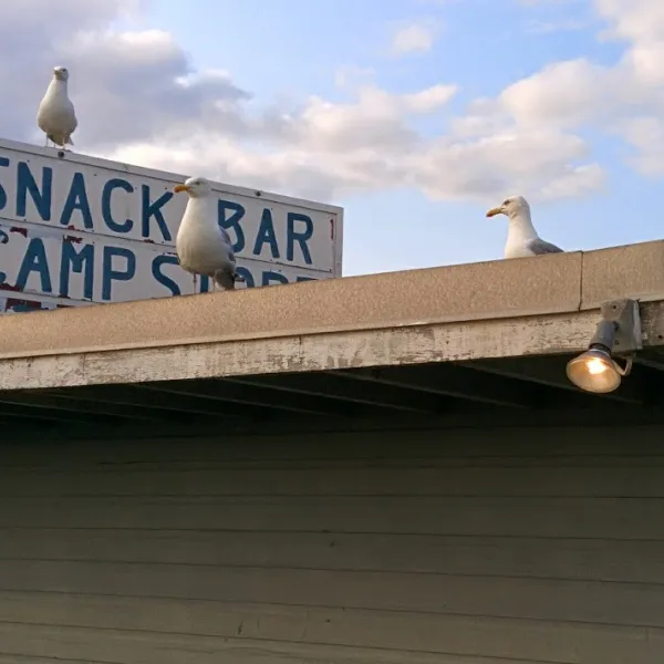 hermit-island-campground-phippsburg-pzg16