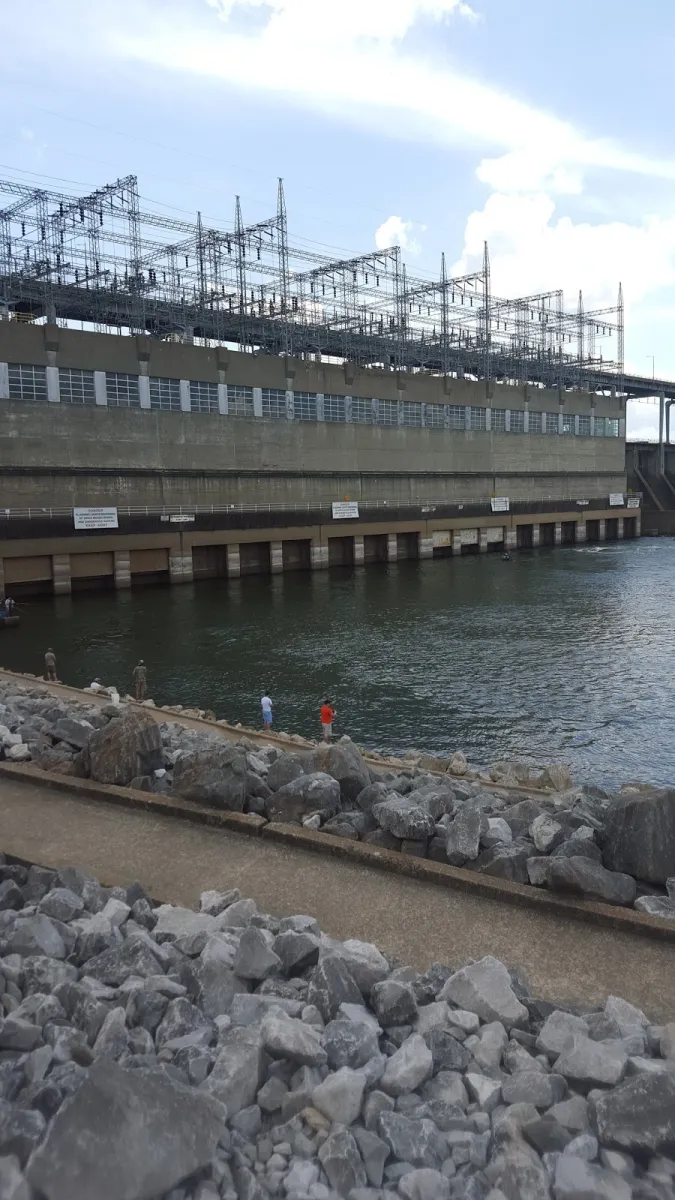 pickwick-dam-campground-savannah-qnflt