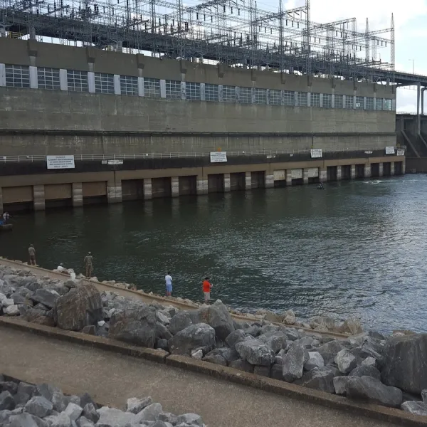 pickwick-dam-campground-savannah-qnflt