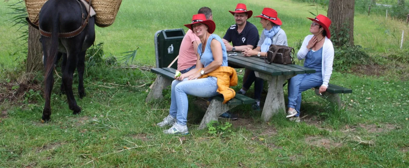 en Camperplaats 't Skônste Plekske (Minicamping)