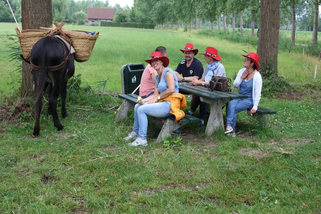 en-camperplaats-t-skonste-plekske-minicamping-schijndel-uavxn