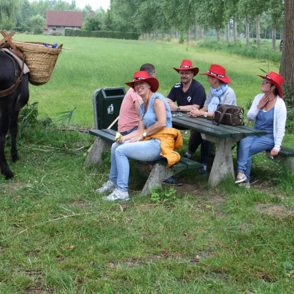 en-camperplaats-t-skonste-plekske-minicamping-schijndel-uavxn