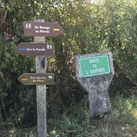 la-chaumiere-buysscheure-y3avm