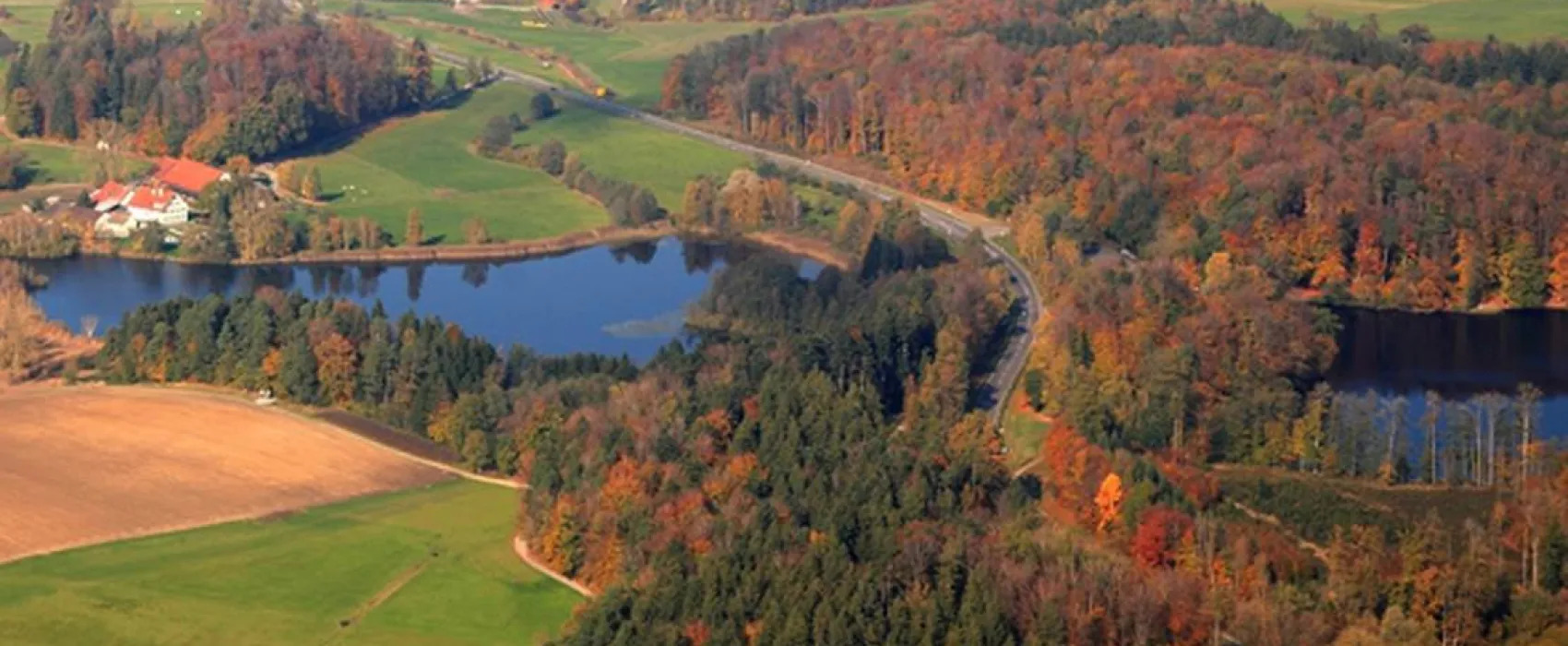 Buchseehof