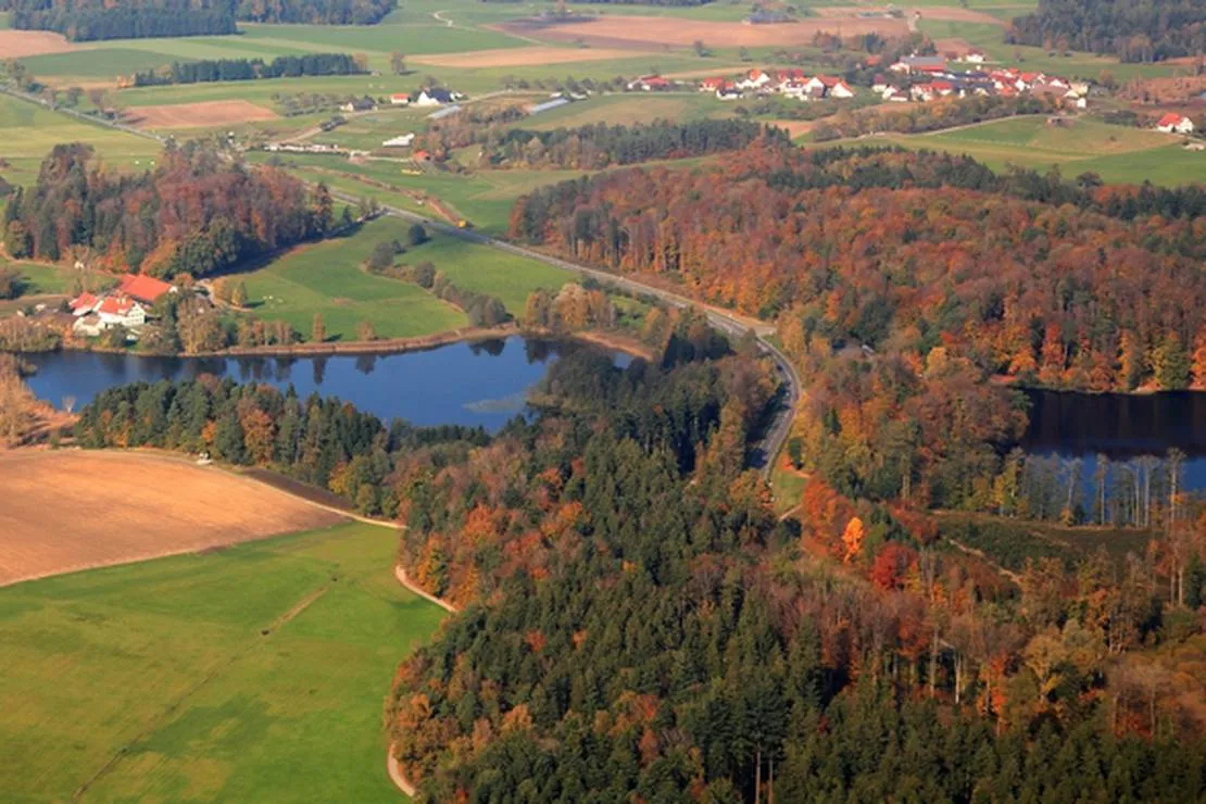 buchseehof-fronreute-yitko