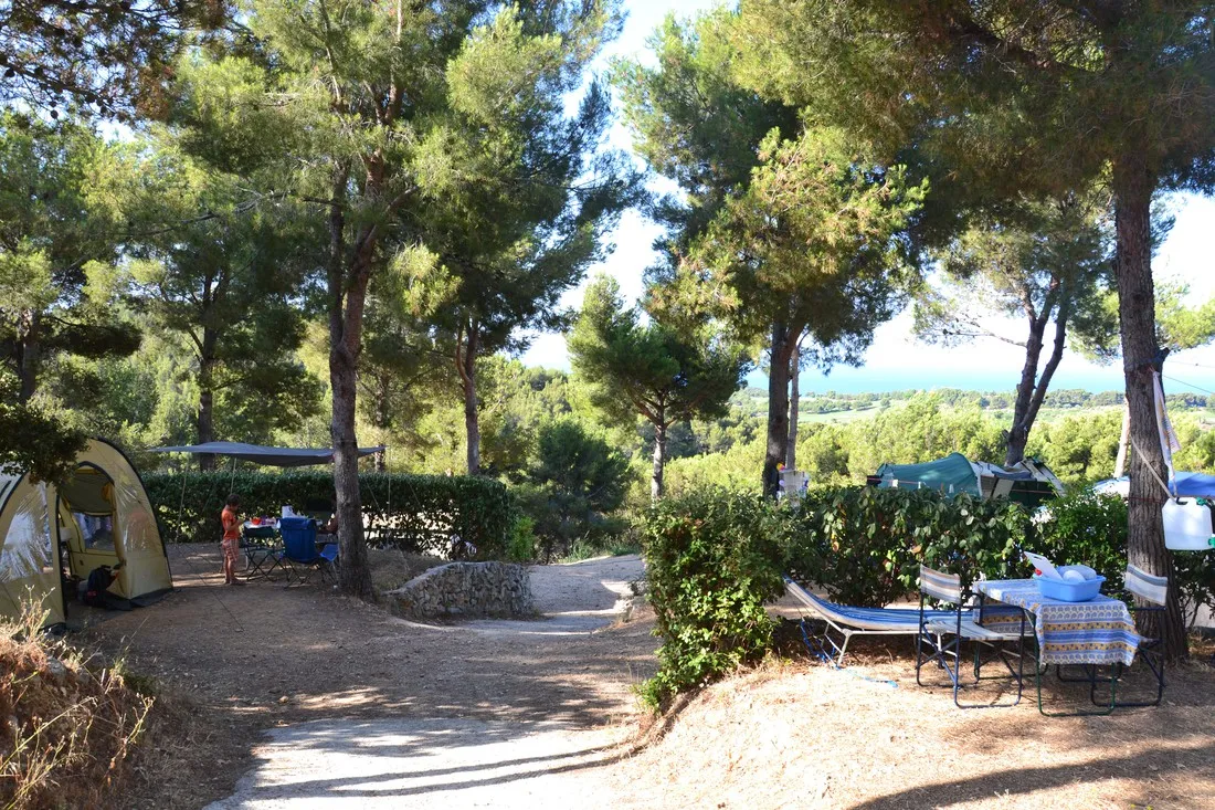 clos-sainte-therese-st-cyr-sur-mer-ffhhq