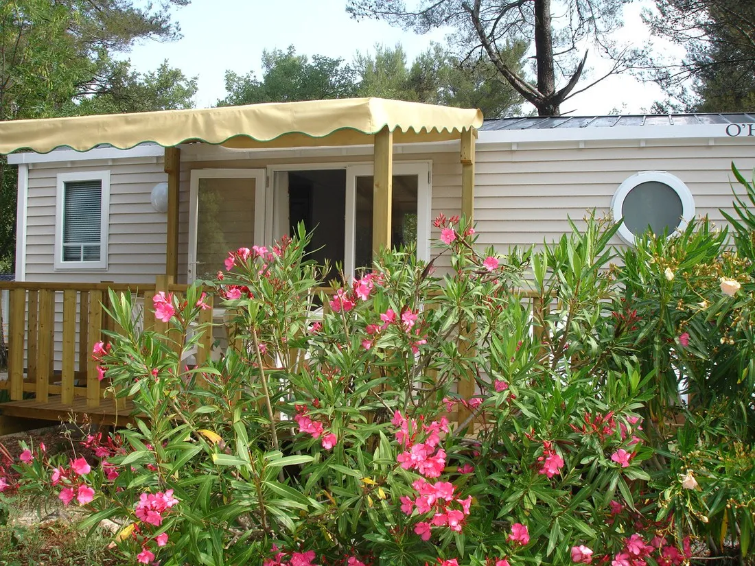 la-sainte-baume-nans-les-pins-gscux