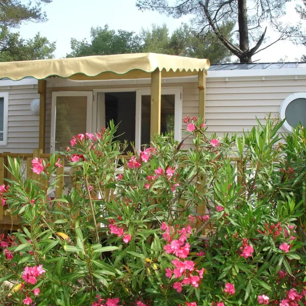 la-sainte-baume-nans-les-pins-gscux