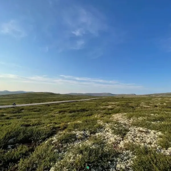 friisvegen-turistsenter-masaplassen-ringebu-90xqp