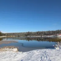 Friisvegen Turistsenter Måsåplassen