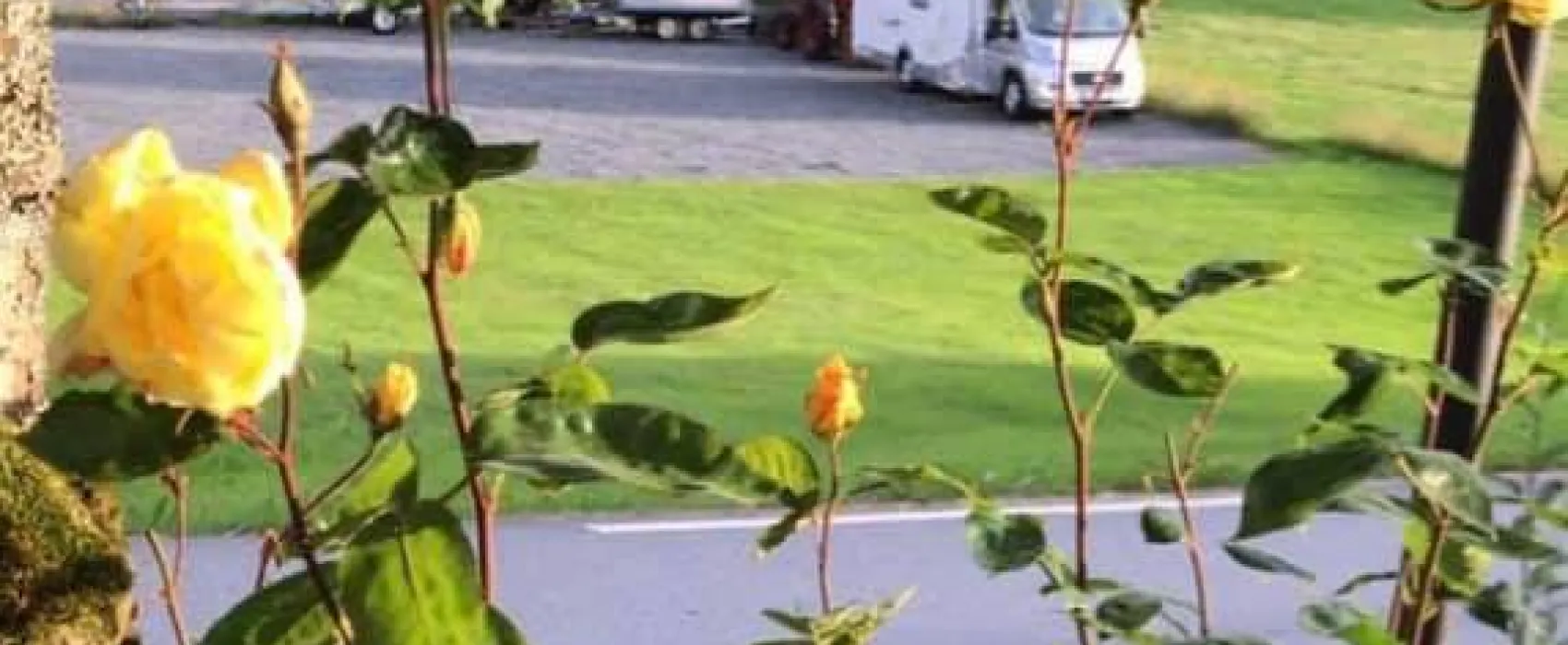 Josygarden  