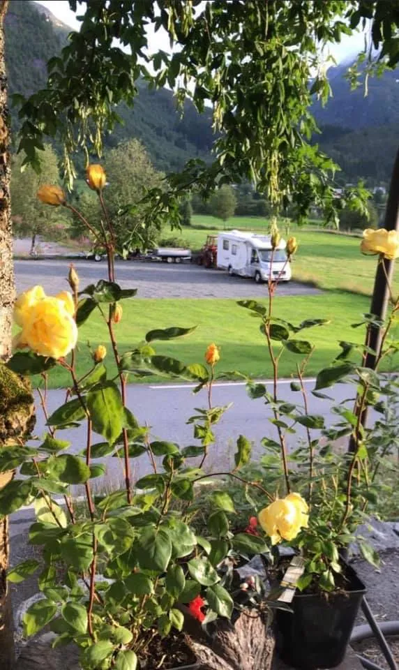 josygarden-austefjorden-volda-yyyn5