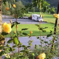 josygarden-austefjorden-volda-yyyn5