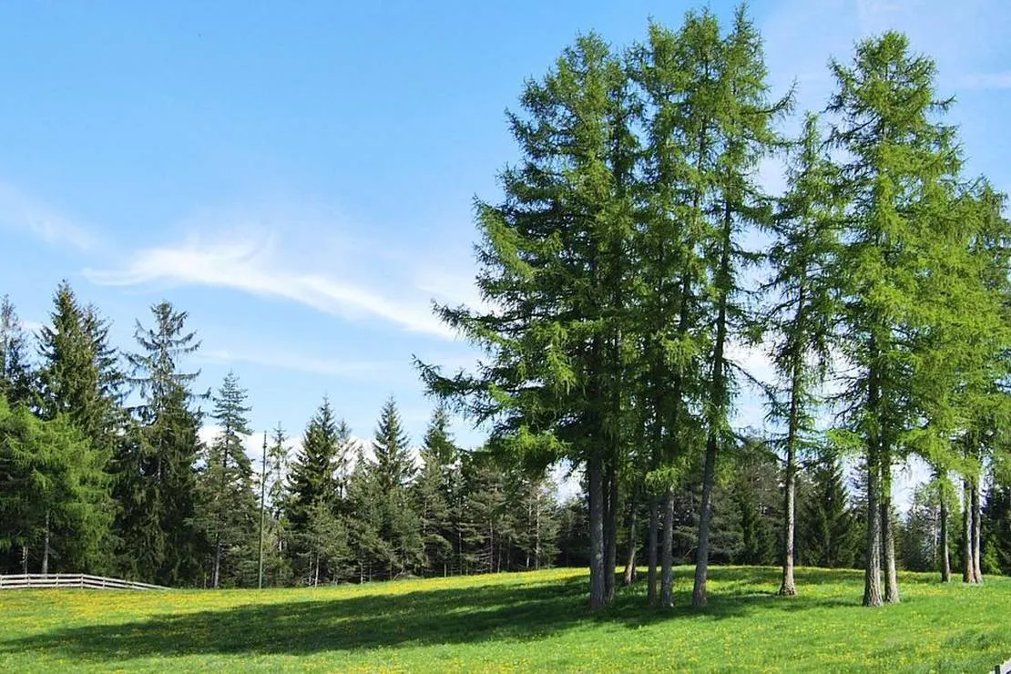 camping-chalet-natur-idyll-salten-jenesien-eibpw