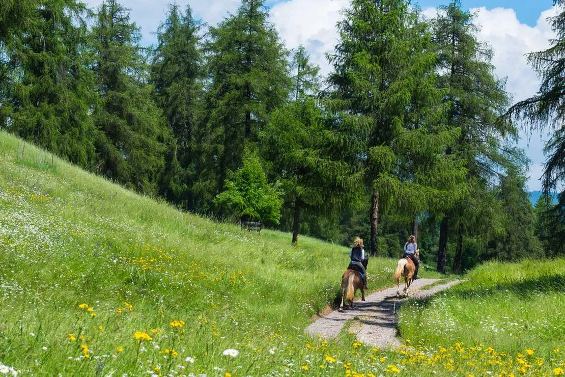 camping-chalet-natur-idyll-salten-jenesien-kwu9t