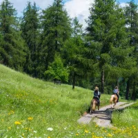 camping-chalet-natur-idyll-salten-jenesien-kwu9t