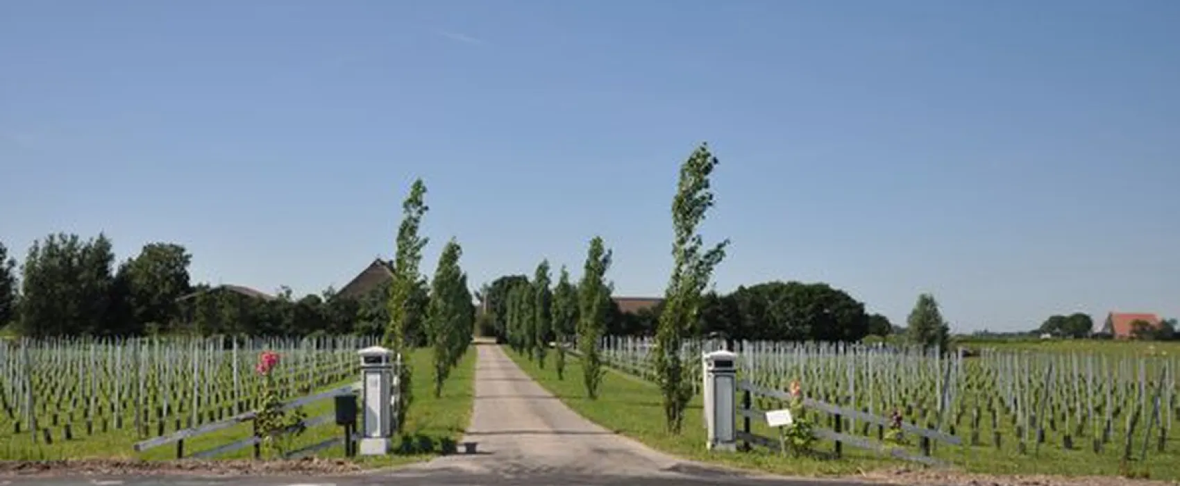 Thaborhoeve