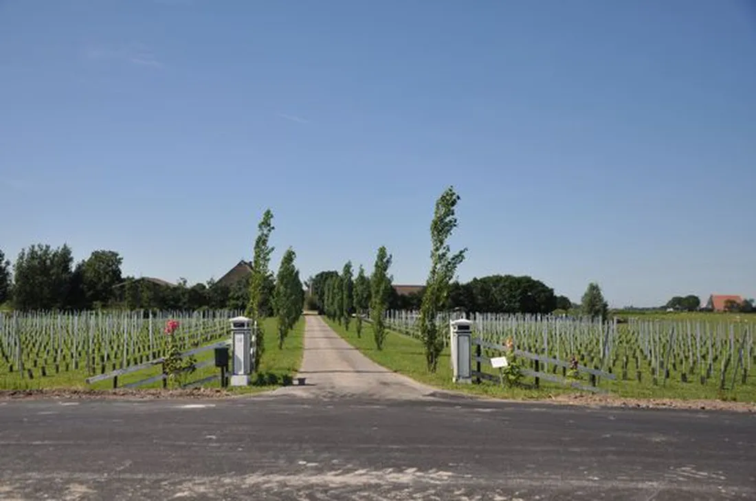 thaborhoeve-ysbrechtum-wxris