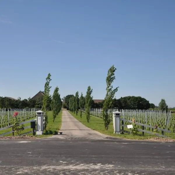 thaborhoeve-ysbrechtum-wxris
