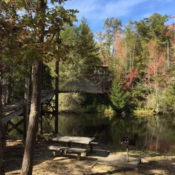 pickett-ccc-memorial-state-park-campground-jamestown-k2vns