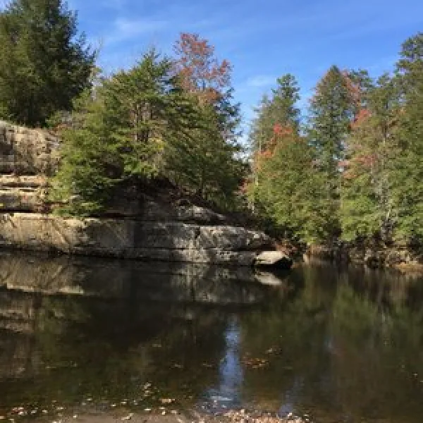 pickett-ccc-memorial-state-park-campground-jamestown-pybys
