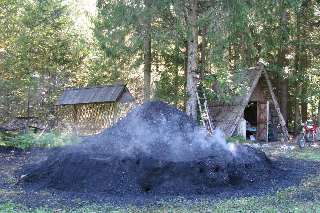 camping-spik-gozd-martuljek-7byc9