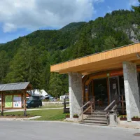 camping-spik-gozd-martuljek-aksmu