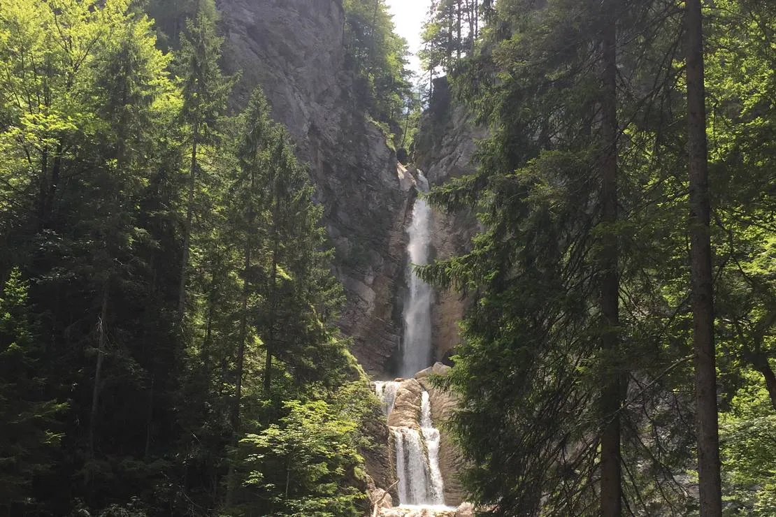 camping-spik-gozd-martuljek-crgnw