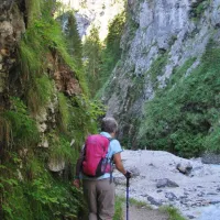 camping-spik-gozd-martuljek-duj62