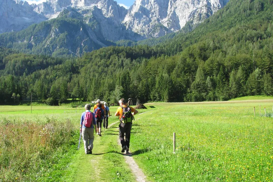 camping-spik-gozd-martuljek-y5rpe