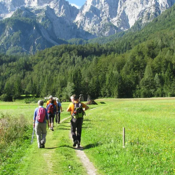 camping-spik-gozd-martuljek-y5rpe