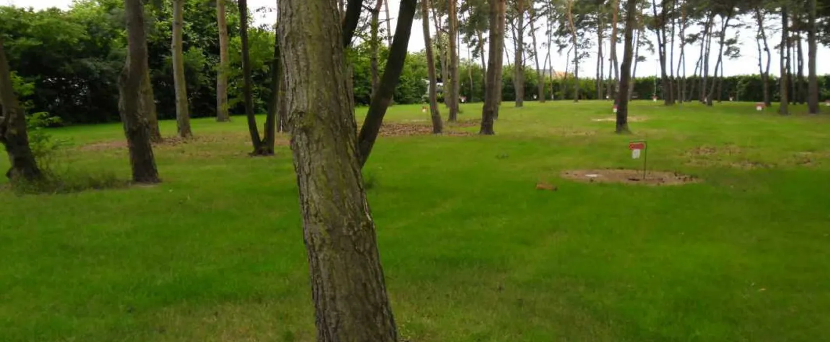 De Breukerheide