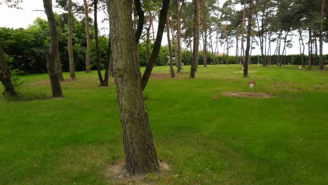 de-breukerheide-maasbree-ngrlb