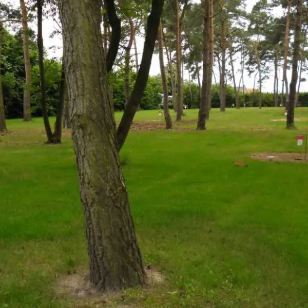 de-breukerheide-maasbree-ngrlb