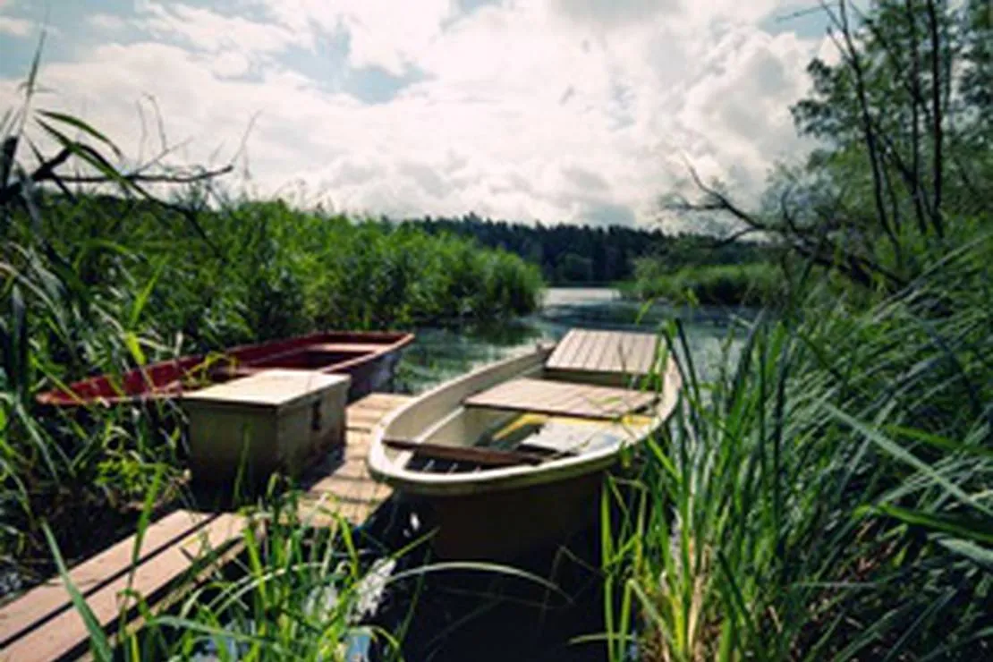 naturcampingplatz-mohlauer-see-grafenhainichen-ot-mohlau-cblds