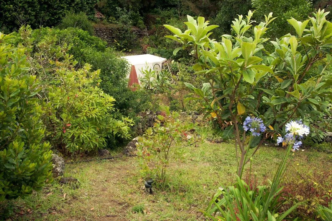 abbyville-romantic-eco-camp-biscoitos-cvrt5