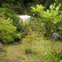 abbyville-romantic-eco-camp-biscoitos-cvrt5
