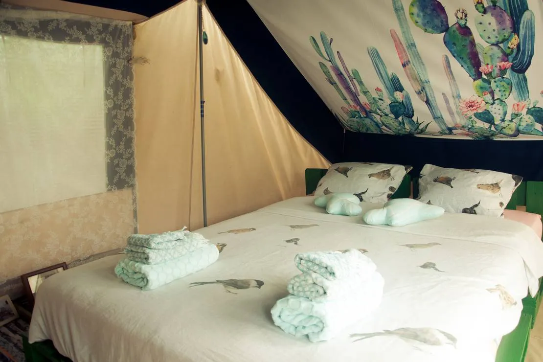 abbyville-romantic-eco-camp-biscoitos-lens6