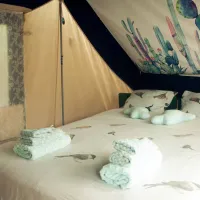abbyville-romantic-eco-camp-biscoitos-lens6