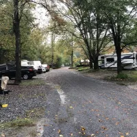 whispering-pines-campground-morganton-a3qne