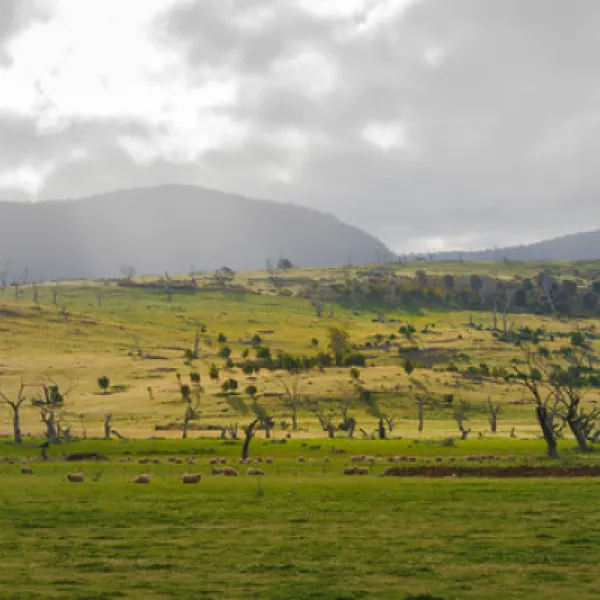 lake-dulverton-oatlands-campground-oatlands-qnabo
