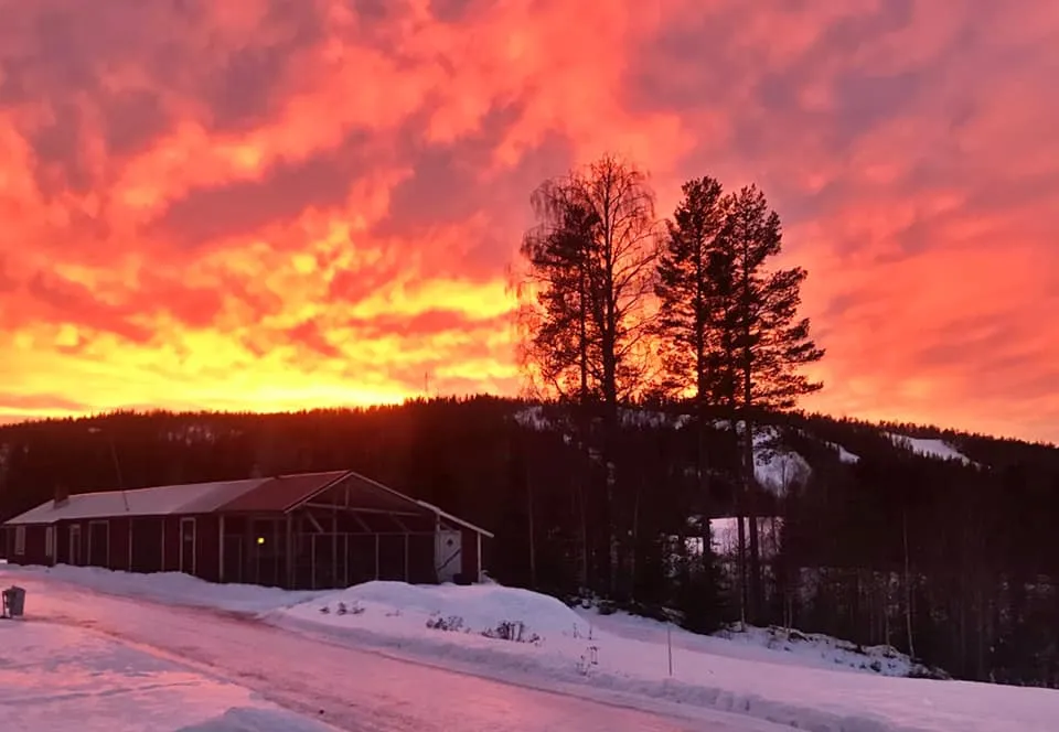 agnas-stugby-bjurholm-a9evb